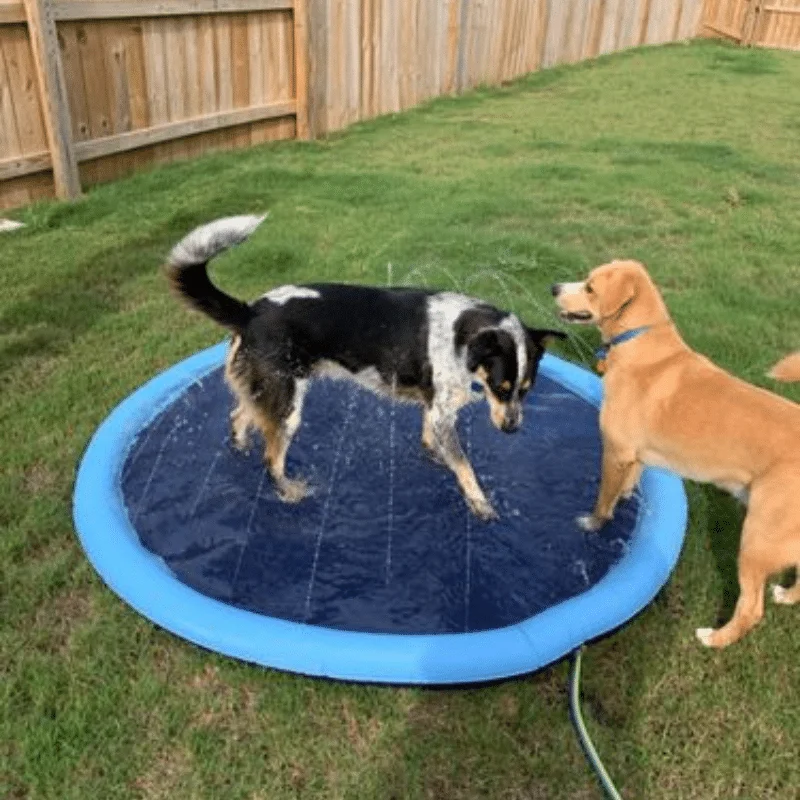 Piscina Para Pets Furry Splasher® Antiderrapante e Com Pressão da Água Regulável - Image 2