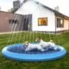 Piscina Para Pets Furry Splasher® Antiderrapante e Com Pressão da Água Regulável - Image 7