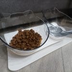 Comedouro Para Gato Anti-Derrapante Kitty Bowl Plus® Ortopédico e Anti-Vómito